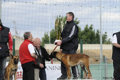 Remise des Prix 206.JPG - CHIENPLUS.COM